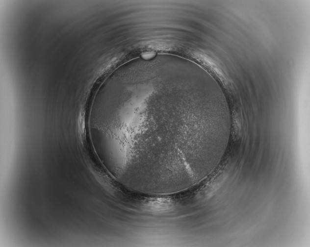 X0000096490398200801241509