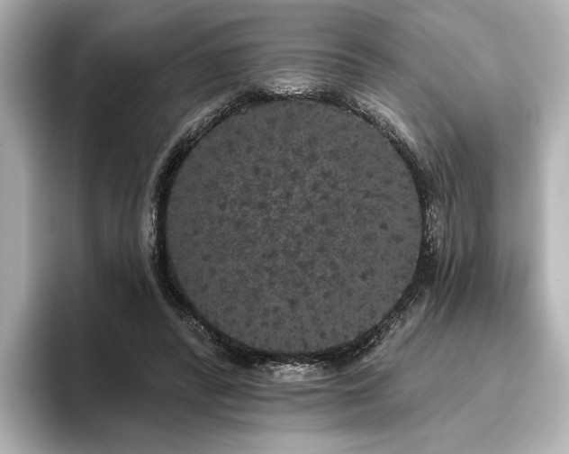 X0000096490400200801241509