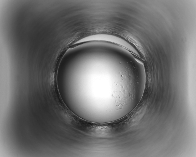 X0000096490401200801241509