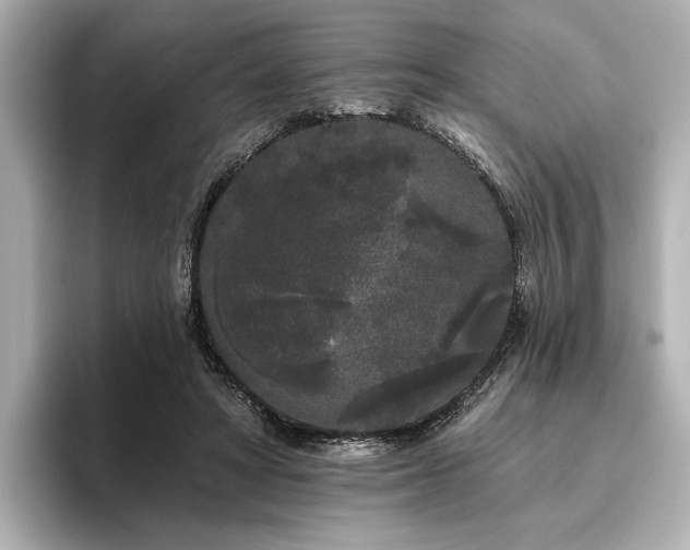 X0000096490402200801241509