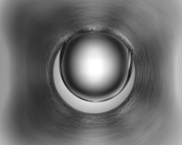 X0000096490403200801241509