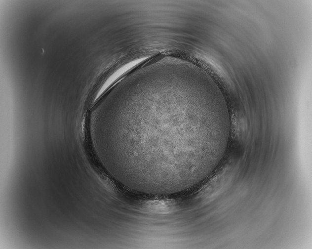 X0000096490404200801241509