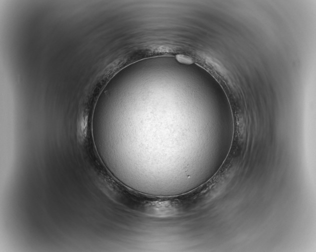 X0000096490406200801241509