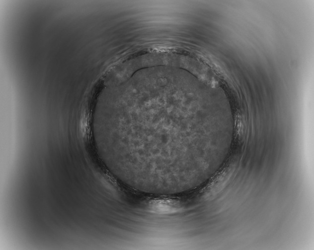 X0000096490408200801241509