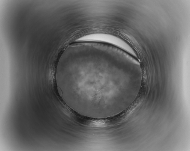 X0000096490409200801241509