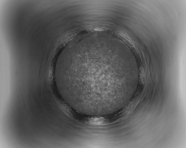 X0000096490410200801241509