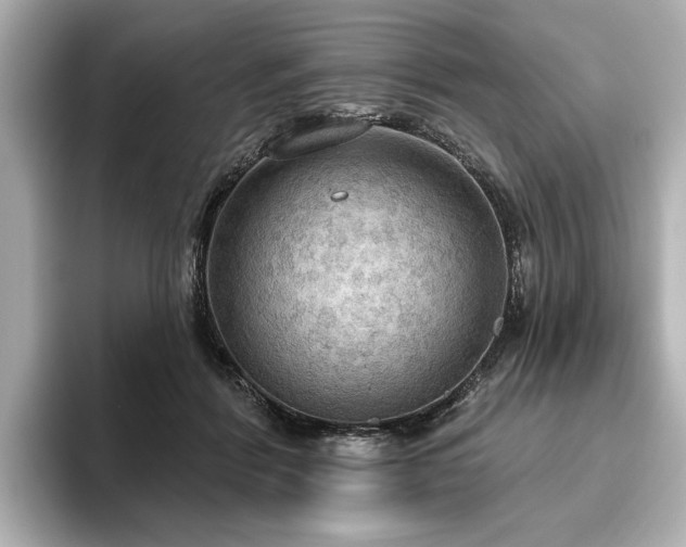 X0000096490412200801241509