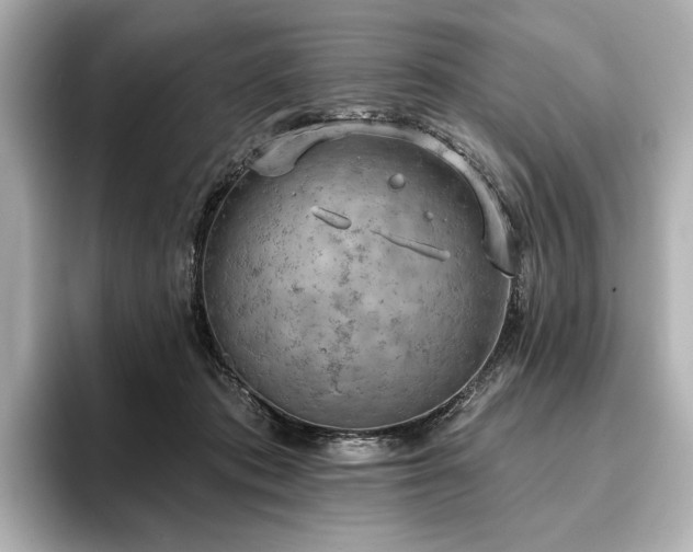 X0000096490413200801241509