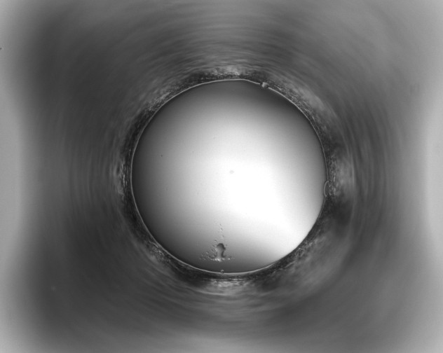 X0000096490414200801241509