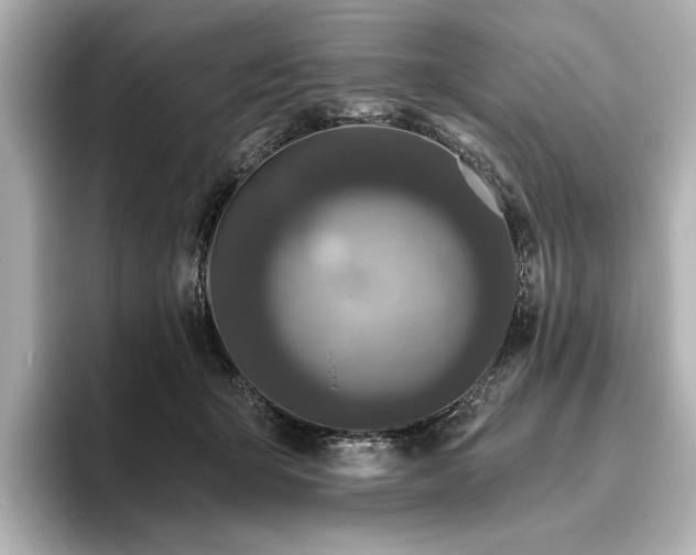 X0000096490415200801241509