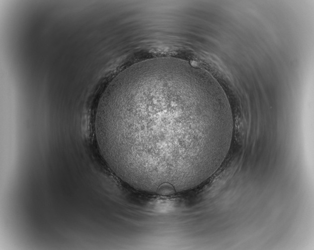 X0000096490416200801241509