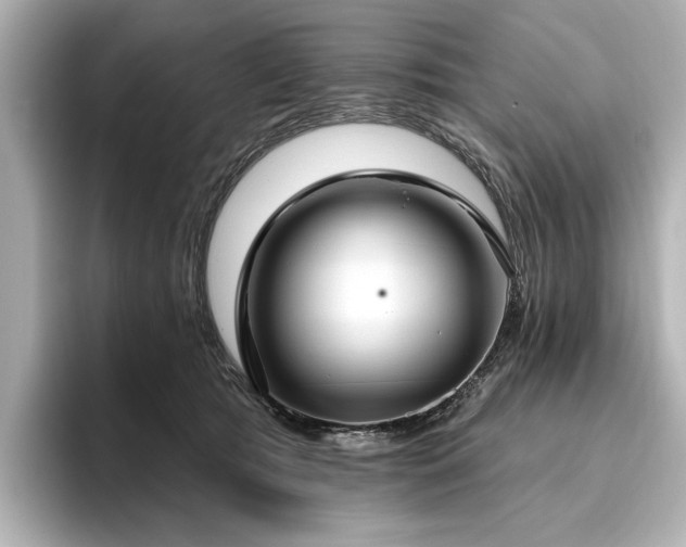 X0000096490417200801241509