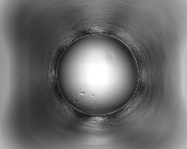 X0000096490418200801241509