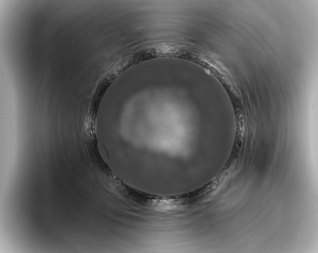 X0000096490419200801241509