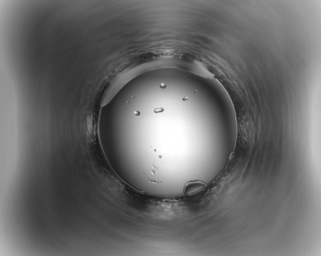 X0000096490420200801241509