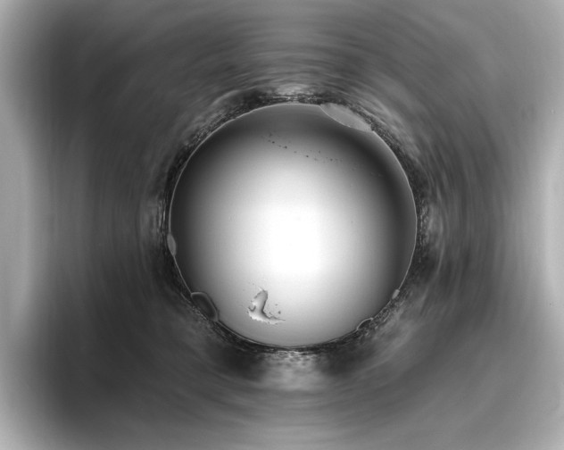 X0000096490421200801241509