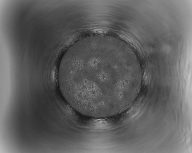 X0000096490424200801241509