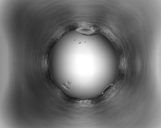 X0000096490426200801241509