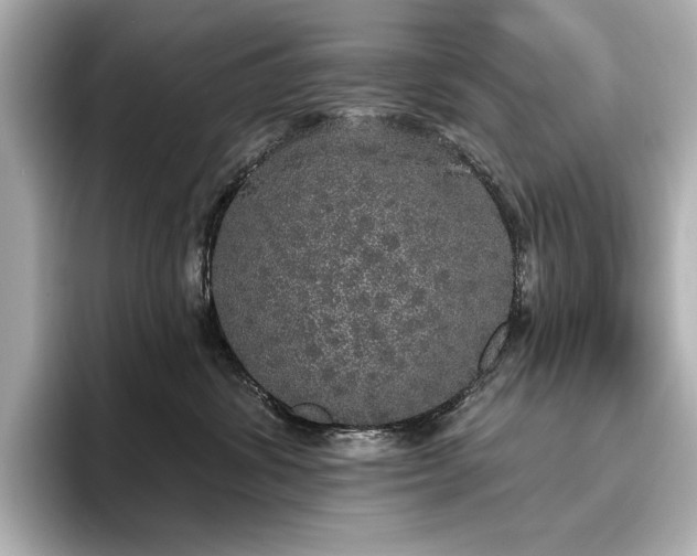 X0000096490428200801241509