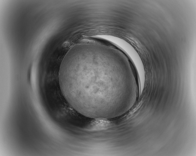 X0000096490429200801241509