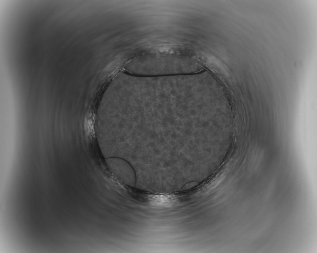 X0000096490432200801241509