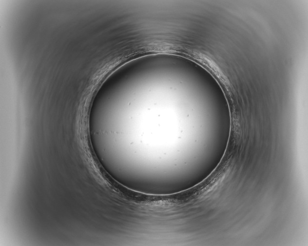 X0000096490433200801241508