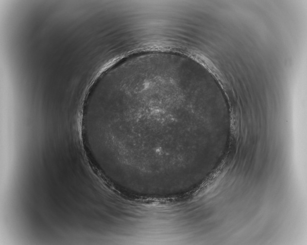 X0000096490434200801241508