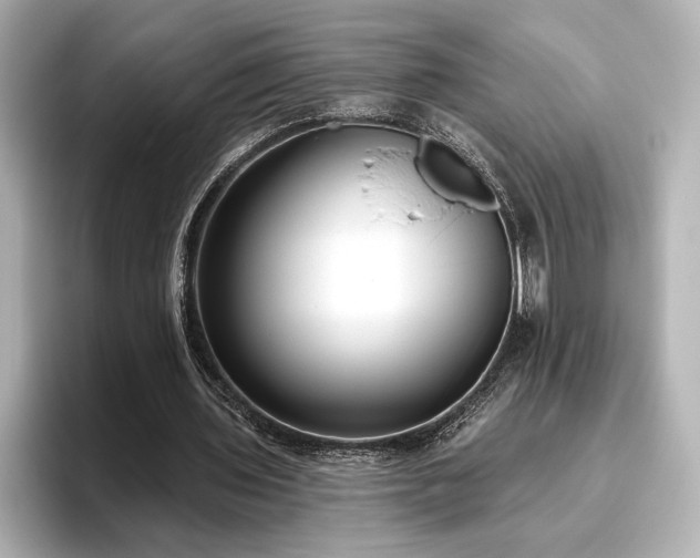 X0000096490435200801241508