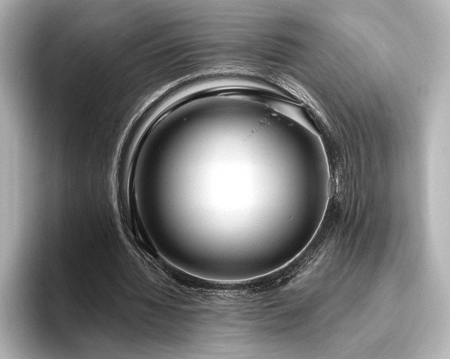 X0000096490436200801241508