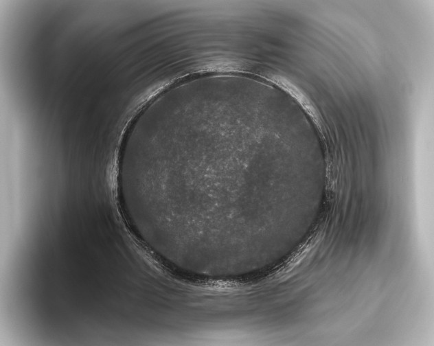 X0000096490437200801241508