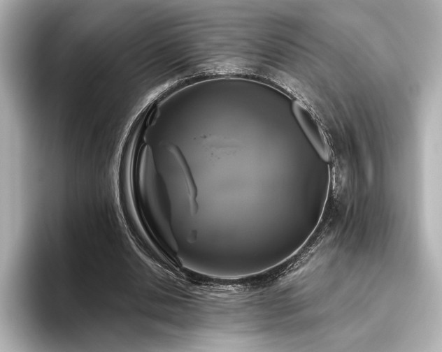 X0000096490438200801241508