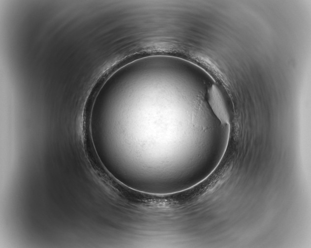 X0000096490439200801241508