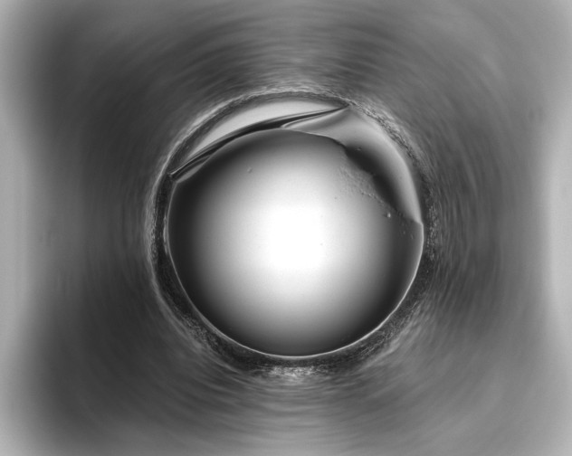 X0000096490440200801241508