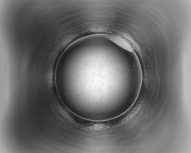 X0000096490441200801241508