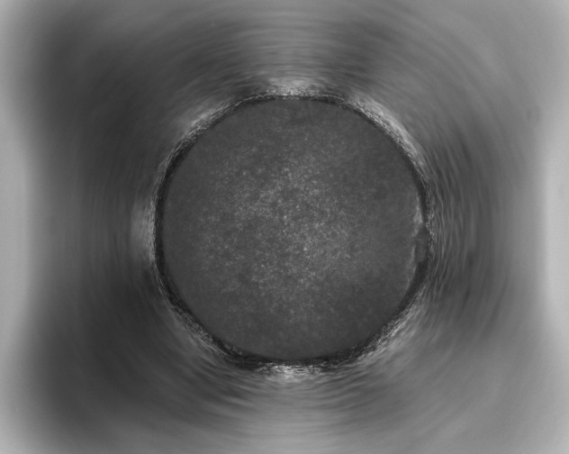 X0000096490442200801241508