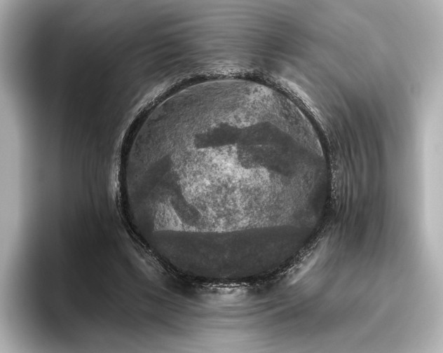 X0000096490443200801241508