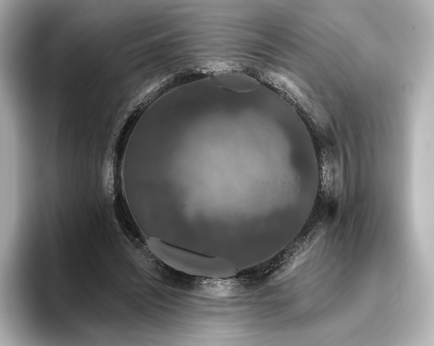 X0000096490444200801241508