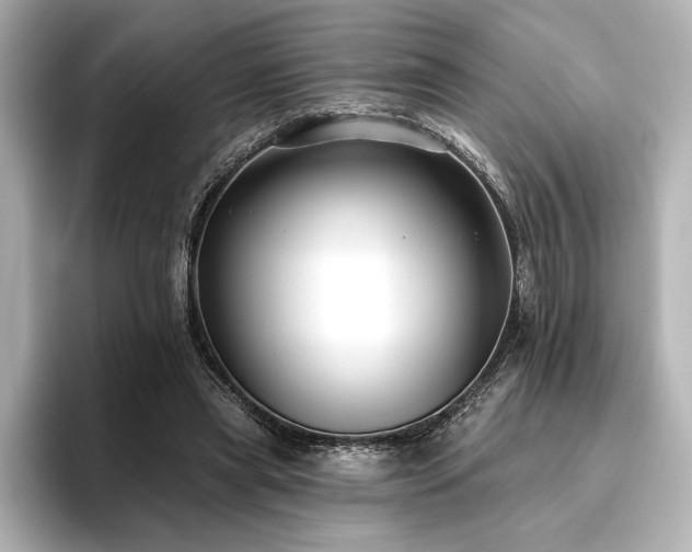 X0000096490445200801241508