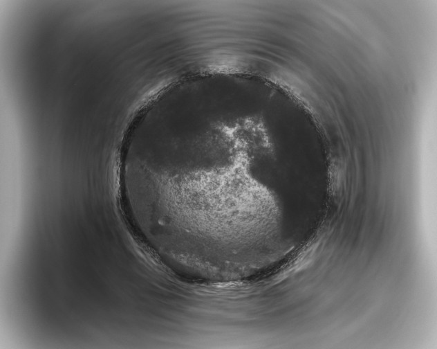 X0000096490446200801241508