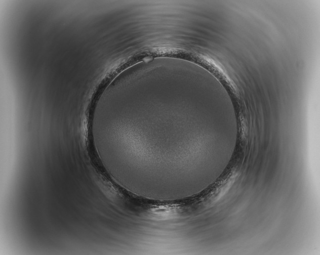 X0000096490447200801241508