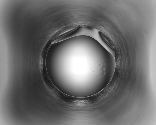 X0000096490448200801241508