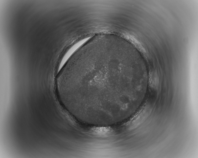 X0000096490449200801241508