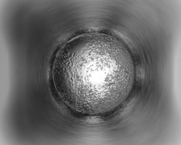 X0000096490451200801241508