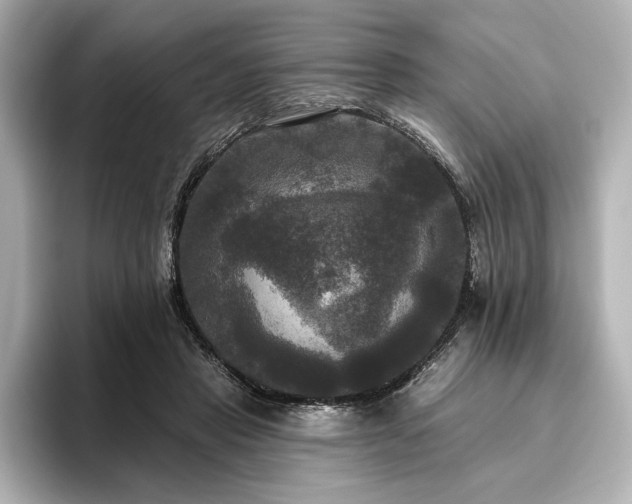 X0000096490453200801241508