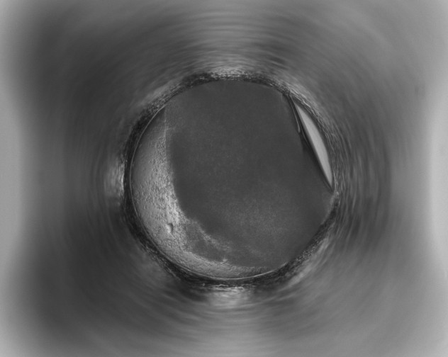 X0000096490454200801241508