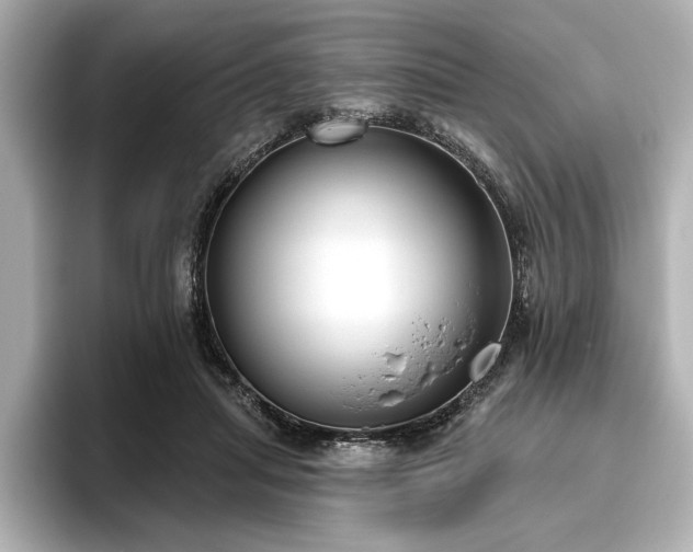 X0000096490455200801241508