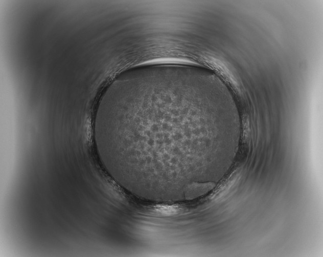 X0000096490457200801241508