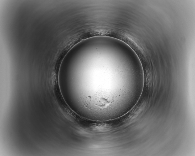 X0000096490459200801241508