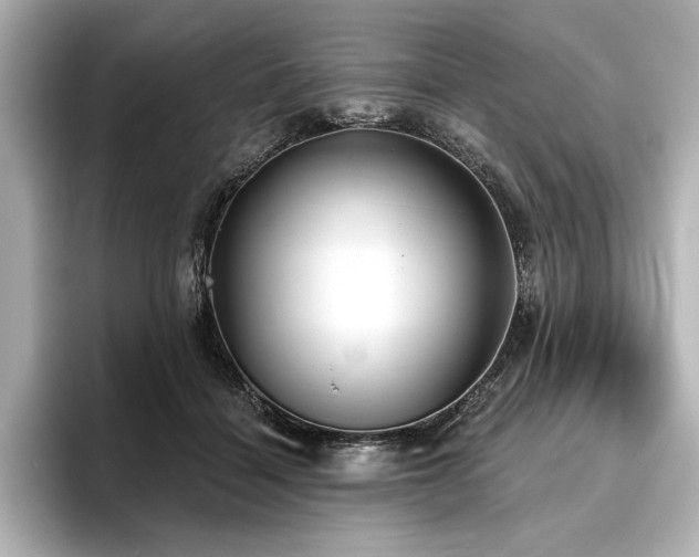 X0000096490460200801241508