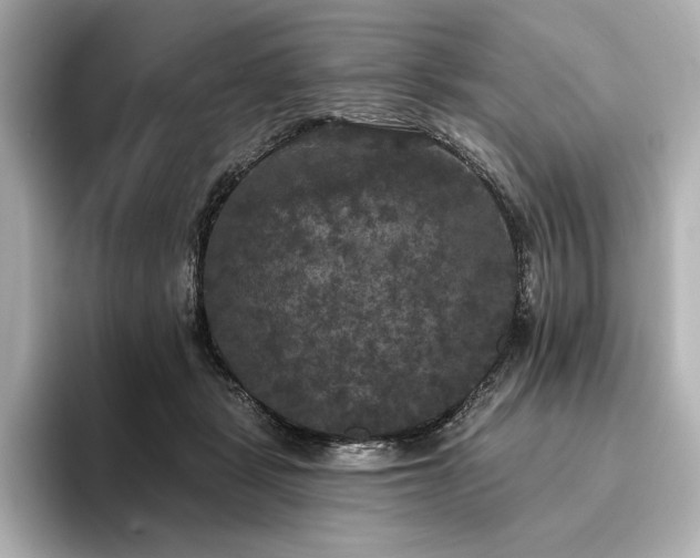 X0000096490461200801241508